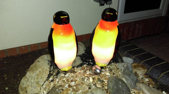 Tell us something really trivial about your life (vol 25)  - Page 425 - The Lounge - PistonHeads - The image features outdoor lighting sculptures designed to look like penguins. The penguin's bodies are black and their heads are a gradient of orange to yellow. The lights are powered on, casting a warm glow that highlights the penguin's shapes and contours. The statues are positioned on a decorative stone construction, giving the impression of them sitting on a pile of stones. The sculptures seem to be a festive decoration, possibly for a seasonal event or holiday.