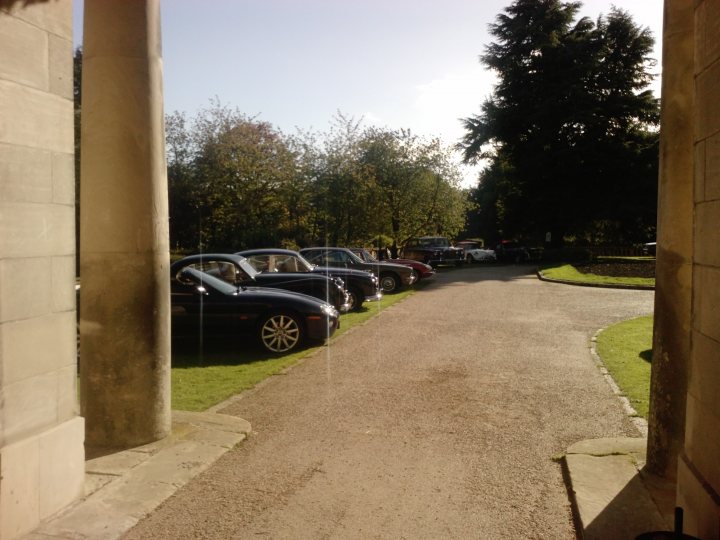 Pistonheads Hotel Newcastle - The image captures a sunlit parking area adjacent to a large building, featuring a variety of luxury cars parked in a neat and orderly fashion. The vehicles are lined up along the paved walkway, casting shoppers' reflections on the vehicles. The clear sky, gleaming sun, and shadows cast by the parking area highlight the vibrant sunlight. The building and the parked cars suggest an elegant and sophisticated setting, possibly a high-end store or mall.