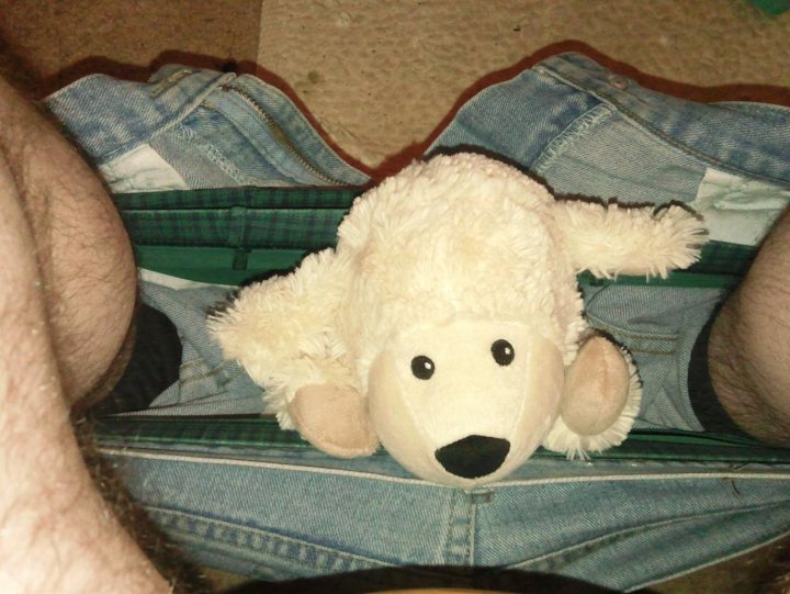 Pussy Pants Pistonheads - In an intimate photograph, a person can be seen. They are seated in a restroom, with their legs spread apart. A noticeable feature is a stuffed lamb toy wearing blue jeans, propped up between their legs. This is an unusual and whimsical sight, injecting a touch of humor into an otherwise mundane scenario.