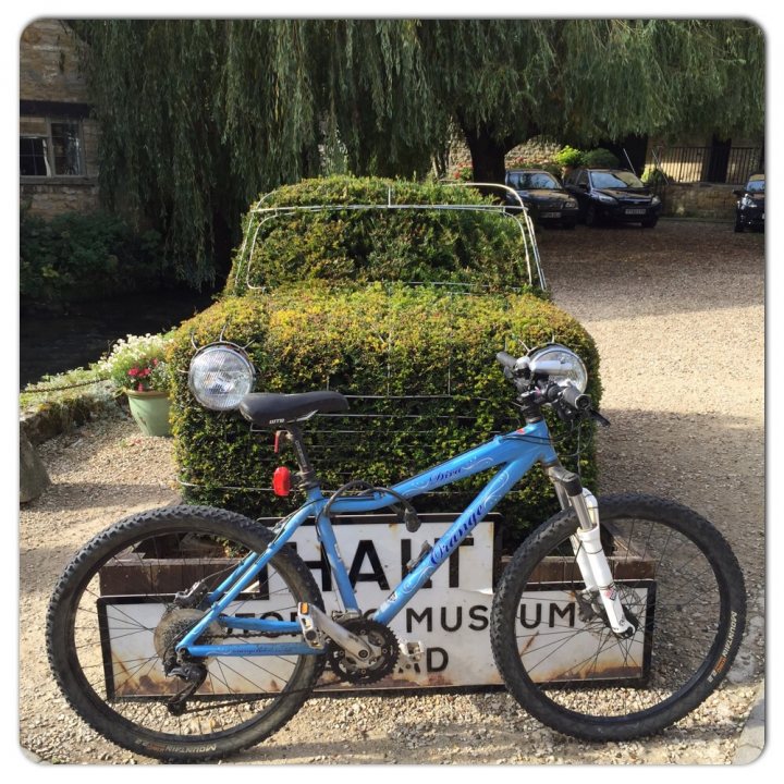 The "Photos From Today's Ride" thread... - Page 225 - Pedal Powered - PistonHeads - The image depicts a blue mountain bike parked in front of a vintage car, which is covered with a lush green bush similar to that of the iconic "Hattif Flowing Bowark" species. The vehicle is situated on a gravel surface, and there are several other cars in the background, suggesting the setting might be a car show or museum. The bike is well-maintained and equipped with basic bicycle accessories. An informative sign stands prominently behind the bike, likely providing information about the vehicles on display.