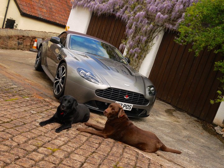 Aston Martin - Owners who have bought more than one car. - Page 2 - Aston Martin - PistonHeads