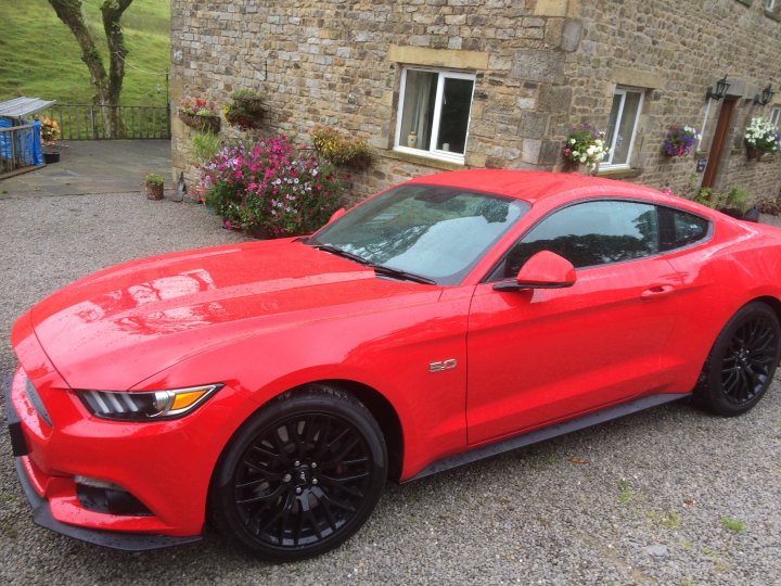 New to mustangs,, few questions - Page 1 - Mustangs - PistonHeads