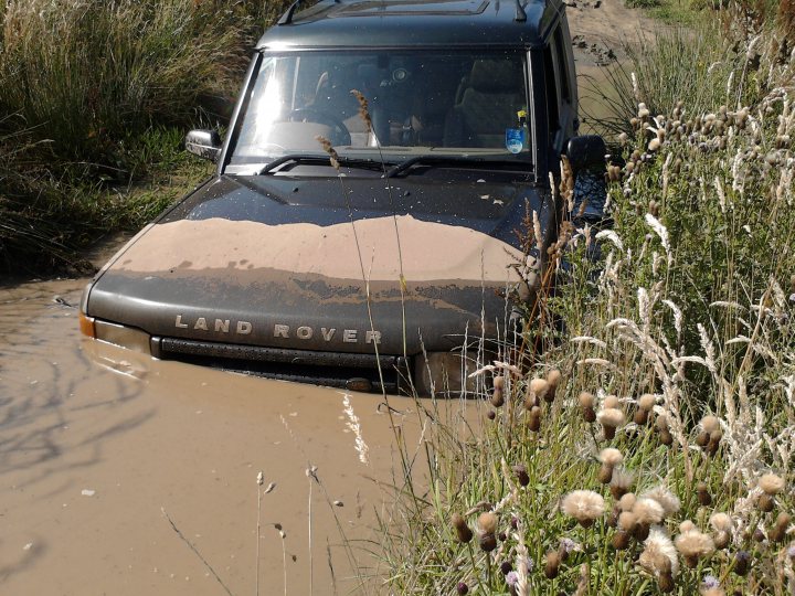 An old truck is parked in a field - Pistonheads - The image showcases a vehicle, which appears to be a Land Rover, driving through a body of water. The car is partially submerged, with water reaching almost up to the driver's door. The Land Rover is navigating through the water, possibly traversing a river or a flooded area. The water is surrounding the car, with visible puddles, suggesting recent or ongoing precipitation. The surrounding area consists of grass, indicating a natural landscape with vegetation.