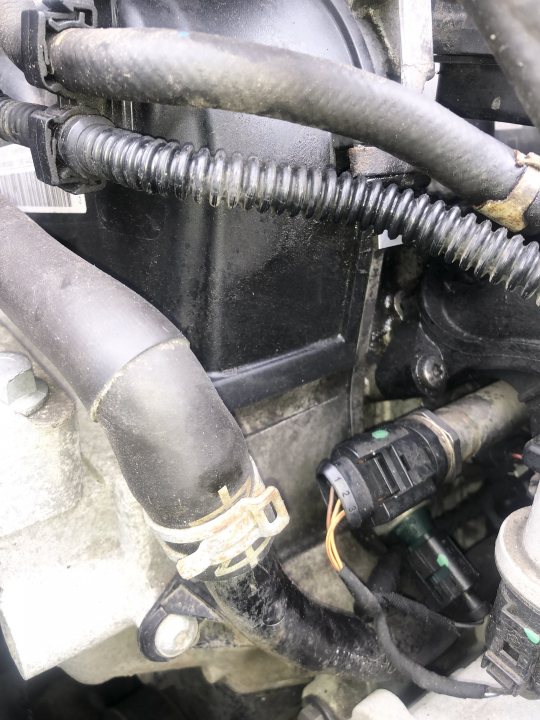 HELP!!! Audi A3 engine leak (with pictures) - Page 1 - Home Mechanics - PistonHeads UK