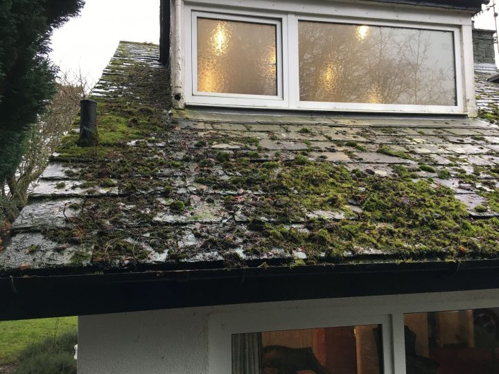 Removing Moss from Roof - Page 5 - Homes, Gardens and DIY - PistonHeads UK