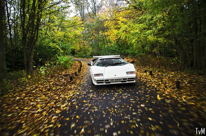 Countach  - Page 60 - Lamborghini Classics - PistonHeads - This image captures a moment of a white car traveling on a leaf-covered street in the woods. The car is in motion, caught in the midst of autumn, with its rear lights on. The road appears to be unpaved, and it's bordered by trees with scattered leaves. The viewer's perspective suggests that they are moving along with the car, creating a sense of speed and movement. The overall mood of the image conveys the tranquility of woodland drives during the fall season.