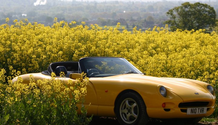 PH 100 month forum/club - Page 27 - The Lounge - PistonHeads - The image displays a vintage sports car parked in a field. The car, painted in a vibrant shade of yellow, is dominated by its convertible top which is rolled down, revealing its interior. The vehicle sports a distinctive hood ornament, adding to its classic charm. The field around the car is lush and yellow, suggesting the growth of a type of wildflowers. The sky overhead is slightly hazy, indicating that the photo might have been taken on a summer or fall day with high humidity or during the late afternoon when the temperature is cooler.