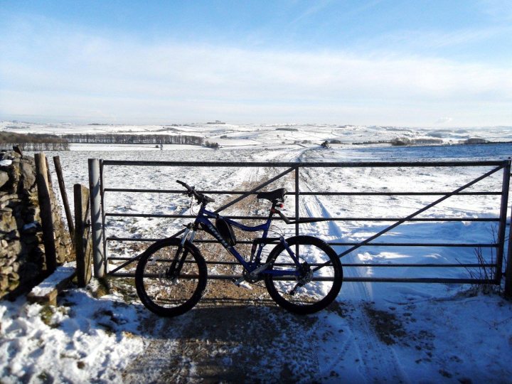 Cycling Pistonheads Snow