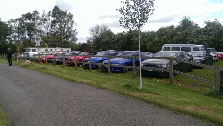 A bunch of cars that are sitting in the grass - Pistonheads