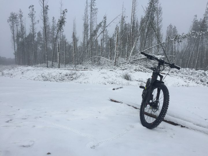 The "Photos From Today's Ride" thread... - Page 373 - Pedal Powered - PistonHeads - The image shows a tranquil scene of a mountain bike parked in the snow on a trail. The bicycle is leaning against a tree, suggesting it has been left there temporarily. In the background, a forested area blanketed with snow can be seen, adding to the serene and quiet atmosphere. There are also trees in the distance that provide a stark contrast to the clear blue sky above. The image captures a moment of rest or pause in the midst of winter activities.