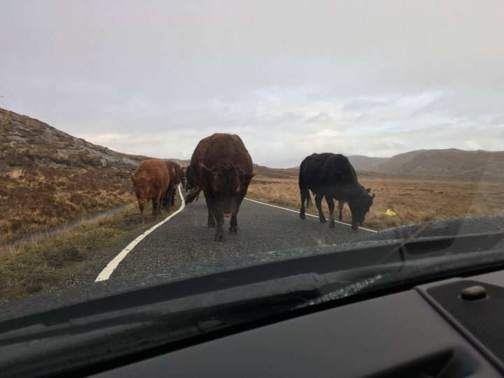 Highlands - Page 172 - Roads - PistonHeads