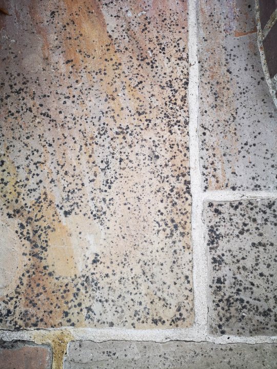 Dreaded black mould on patio... - Page 2 - Homes, Gardens and DIY - PistonHeads