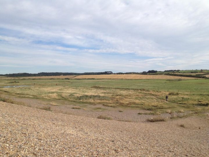 A field of grass with a cow in the background - Pistonheads - This image captures a vast, open field that stretches out to meet a clear blue sky on the horizon. The land appears flat with a grid-like pattern of dirt tracks. No vegetation is visible; only sparse patches of brown and dry grass can be seen. The low angle of the photo suggests it was taken from a hill or an elevated position, providing a panoramic view of the field. There is a single, small figure walking in the distance, though they are too far away to discern any details about them.