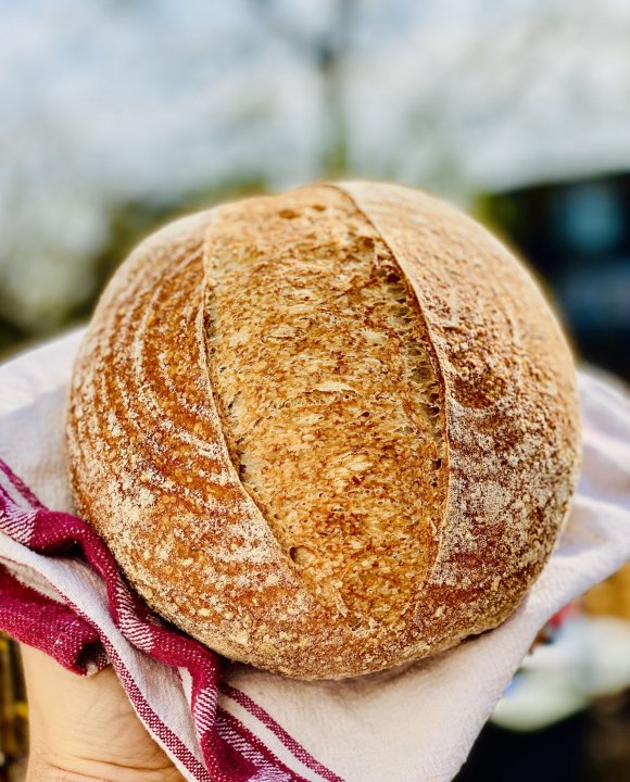 Sourdough breadmaking - Page 17 - Food, Drink & Restaurants - PistonHeads