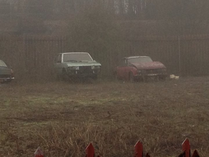 Classics left to die/rotting pics - Page 501 - Classic Cars and Yesterday's Heroes - PistonHeads - The photo shows a scene of abandonment, featuring three dilapidated cars in various states of disrepair, surrounded by tall, dead grass and a hazy, foggy environment. The cars, two red and one green, appear to have been left there for an extended period, contributing to the overall sense of decay and neglect. The weather looks overcast, and there is a sense of melancholy permeating the scene. In the background, there is a fence but it's not clear what is behind it due to the fog.