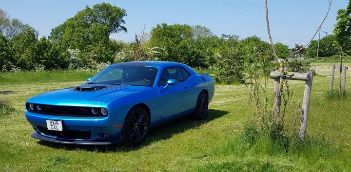 Dodgy Geezer's new Dodge... - Page 1 - Readers' Cars - PistonHeads UK