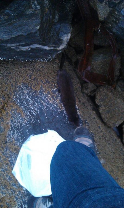 A person laying on the ground with a skateboard - Pistonheads - The image shows a person's lower leg and foot wearing blue jeans and a black shoe. The focus is on the foot, which is protruding out of the frame with some debris around it, including what appears to be a pack of trash or trash bag next to it. The debris seems to be outdoors, and the person appears to be either standing or sitting, as their leg is bent. There's no text visible in the image. The scene suggests a casual outdoor setting.