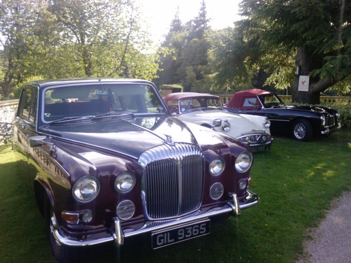 Hotel Newcastle Pistonheads - The image shows a row of classic cars parked on a grassy field. The first car in the row is a purple Bentley with a prominent grill and distinctive headlights. Behind it, there's a red car of a different model, followed by a white car and finally a black car. The cars are lined up parallel to each other and appear to be of a vintage style. The setting suggests an outdoor car show or exhibition.