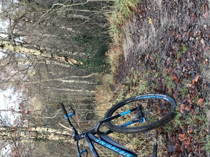 The "Photos From Today's Ride" thread... - Page 278 - Pedal Powered - PistonHeads - This image captures a serene outdoor scene, featuring a striking blue mountain bike. The bike is leaning against a patch of lush green grass that contrasts with the surrounding landscape. To the right, an array of vibrant fallen leaves hints at a wooded area. In the background, an earthy path stretches into the distance, inviting the viewer to explore further. The bike's position, angled towards the path, suggests it has been recently used and abandoned here, adding a sense of abandonment to the scene.