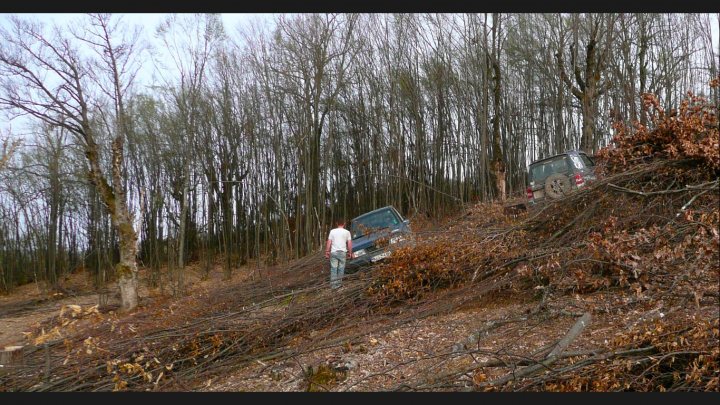 Couple of pics from today... - Page 1 - Off Road - PistonHeads - The image displays a wooded area with a fallen tree covering a vehicle on its side on a dirt path. A man is standing on the edge of the stretch where the tree has fallen, looking down at the situation. Another vehicle is partially visible on the left, and the terrain is uneven with fallen tree branches. The scene suggests a difficult and potentially dangerous situation.