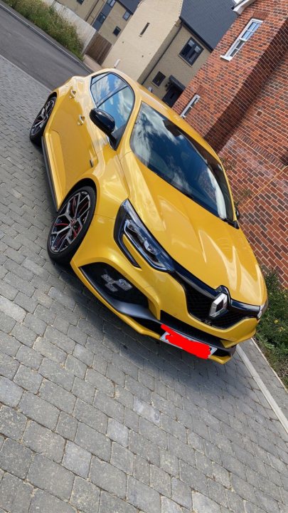 Any new Megane RS 280/300 owners? - Page 16 - French Bred - PistonHeads