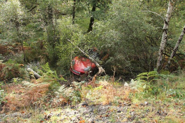 A red fire hydrant sitting in the middle of a forest - Pistonheads - The image depicts an overgrown field where tall weeds and brush have taken over. Among the foliage, there is a vehicle that appears to be a red convertible, partially buried and seemingly abandoned. The scene suggests neglect or disuse, with nature reclaiming the space. The car is in a state of disrepair, with parts of the bodywork missing or damaged, adding to the impression of abandonment. The ground around the vehicle is littered with leaves, further emphasizing the passage of time and the inevitable encroachment of nature.