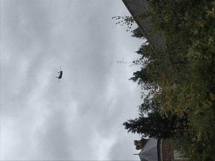 Cool things seen on FlightRadar - Page 57 - Boats, Planes & Trains - PistonHeads - This image depicts an outdoor scene dominated by a tree under a cloudy sky. The tree, located in the lower right, has lush green leaves, and its branches extend towards the center of the frame. Above the tree, soaring high in the sky, is a large black bird. In the upper left, slightly above the tree, there is a small building partially obscured by the tree and the cloud cover. The sky itself is filled with gray clouds that cast a green hue on the leaves of the tree. The overall atmosphere of the image is tranquil and serene.