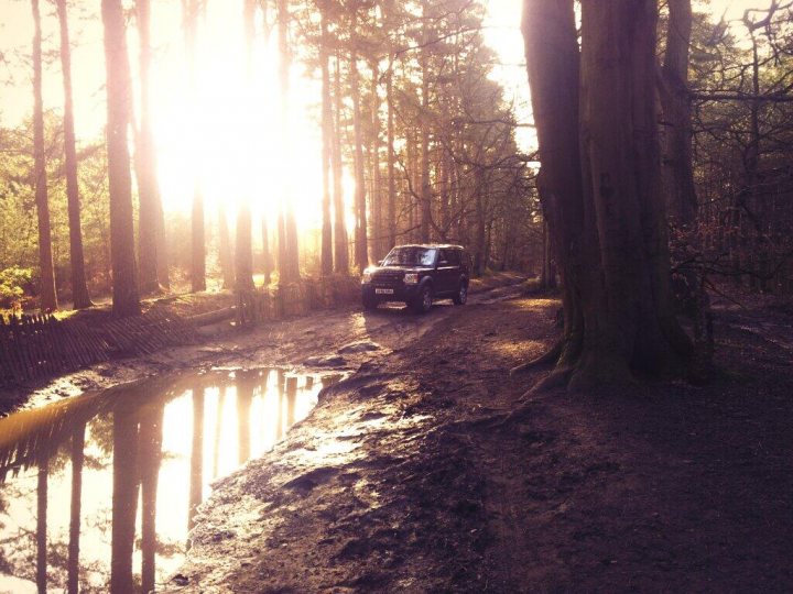 Pics of your offroaders... - Page 34 - Off Road - PistonHeads