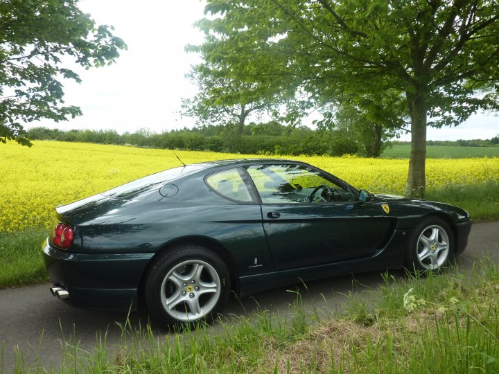 Jamiroquai AKA Jay Kay Buys a Green LaFerrari - Page 1 - Ferrari V12 - PistonHeads - The image showcases a dark-colored, possibly black, sports car parked by the side of a road. The road is lined with lush green grass and vibrantly yellow rape flowers, indicating a season like spring or early summer. The sky overhead appears to be cloudy. The car, with a yellow license plate, is facing a copse of trees, suggesting a rural or semi-rural setting. It's a bright, outdoor scene that conveys a sense of tranquility and the beauty of nature.