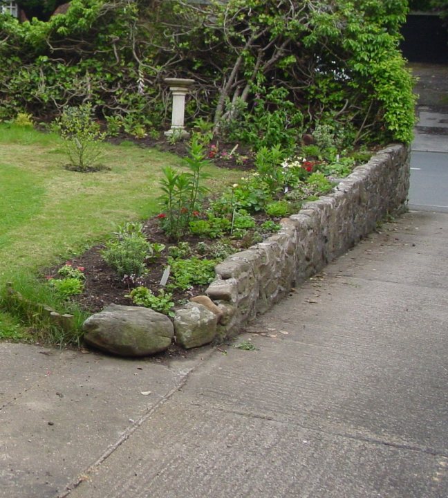 How best to cut down old dead leylandii? - Page 1 - Homes, Gardens and DIY - PistonHeads - The image portrays a well-maintained garden with stone walls and stepping stones. A variety of plants and grasses are meticulously arranged, contributing to the lush greenery. A tree with a gnarled trunk forms a natural backdrop, and a small shrub at the center adds a touch of variety to the foliage. The stone in the garden appears to be of different shades, adding an element of interest to the scene. The overall impression is one of tranquility and care for nature.