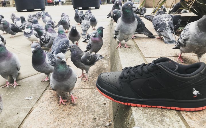 Anyone into trainers/sneakers? - Page 51 - The Lounge - PistonHeads