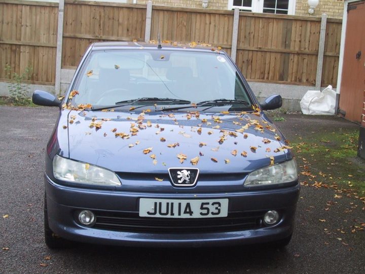 What crappy personalised plates have you seen recently? - Page 348 - General Gassing - PistonHeads - In the image, a blue Peugeot 206 is parked on a driveway. The car, which is the central focus of the image, is covered in autumn leaves that have fallen from the trees in the background. The driveway appears to be made of paving stones, and the front of the car is clearly visible, with its distinctive front grille and logo. In the background, there is a white garage door that matches the wooden fence beside it.