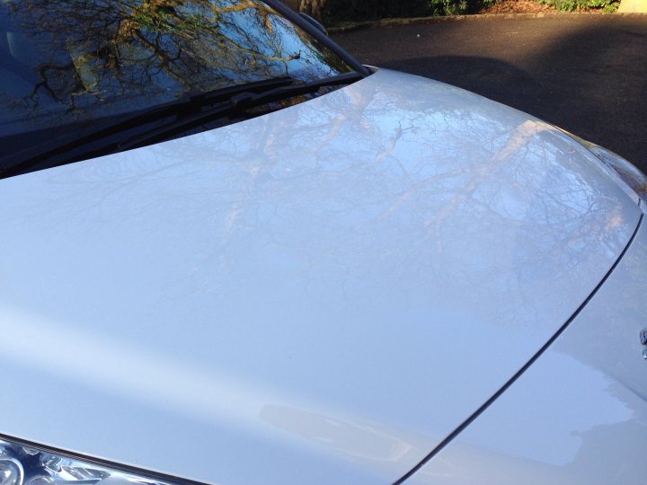 Magic Detail Altrincham - Page 1 - North West - PistonHeads - The image features a section of a silver vehicle's side mirroring the car's hood. The car is parked on a driveway in front of a line of trees that cast a reflection on the car. The sunlight is currently at the angle that it shines brightly into the car, creating a glare. The perspective of the photo is from directly above the car, making the reflection of the trees more prominent. The photo captures the interplay of light and reflection on the car's surface.