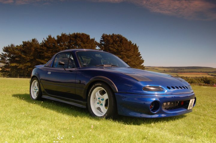 Pistonheads Show - The image captures a serene outdoor setting. A blue sports car is parked on the grass, characterized by its sleek design, aerodynamic spoiler, and distinct side vents. The car's vibrant blue color contrasts with the green grass and the blue sky. In the background, green trees and bushes stretch across the landscape, enhancing the tranquil natural ambiance of the scene. Further back, the silhouette of hills can be seen against the sky. The overall feeling of the image is harmonious and peaceful.