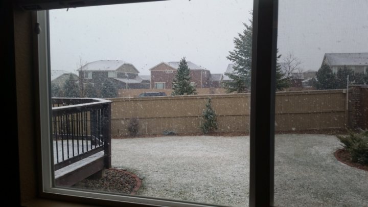 Pistonheads - The image depicts a snowy backyard scene captured through a window. Snowflakes can be seen falling outside, blanketing the ground and creating a wintry atmosphere. The backyard appears to be a typical residential area, with a fence and some trees in the background. The light coming in through the window casts a soft illumination on the scene, contrasting with the vibrant white of the snow.