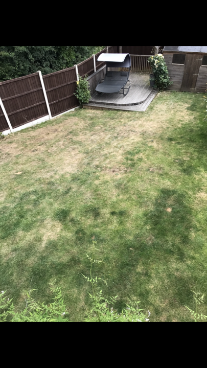 2018 Lawn thread - Page 17 - Homes, Gardens and DIY - PistonHeads