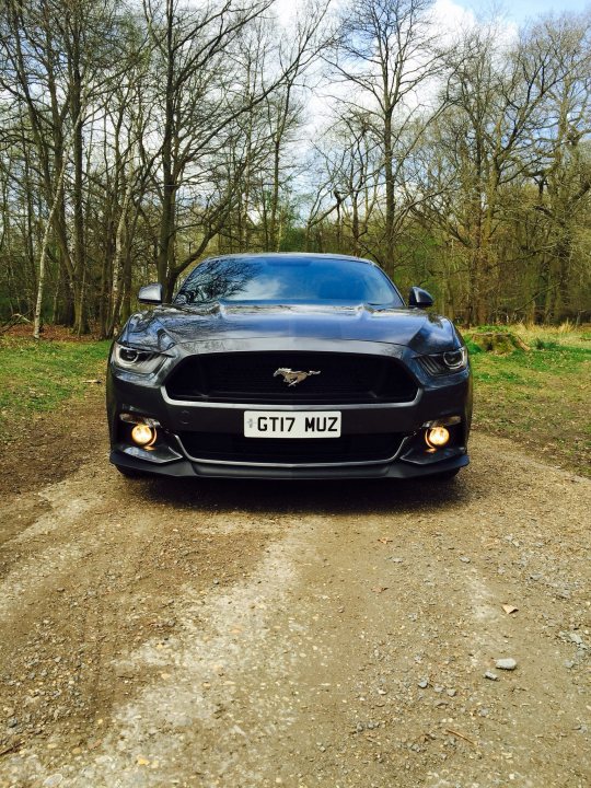 So who has ordered the new S550 Mustang? - Page 156 - Mustangs - PistonHeads