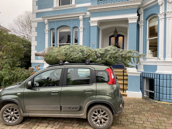 Buying Blind Pandamonium – Fiat Panda 4x4 Cross - Page 2 - Readers' Cars - PistonHeads UK - The image shows a Christmas tree resting atop a vehicle, suggesting the festive season. A car is driving down a street lined with houses and trees, adding to the suburban setting. In front of the car, there is a small pile of what appears to be snow or ice, possibly left from recent weather conditions. The sky overhead is overcast, casting a gloomy mood over the scene.