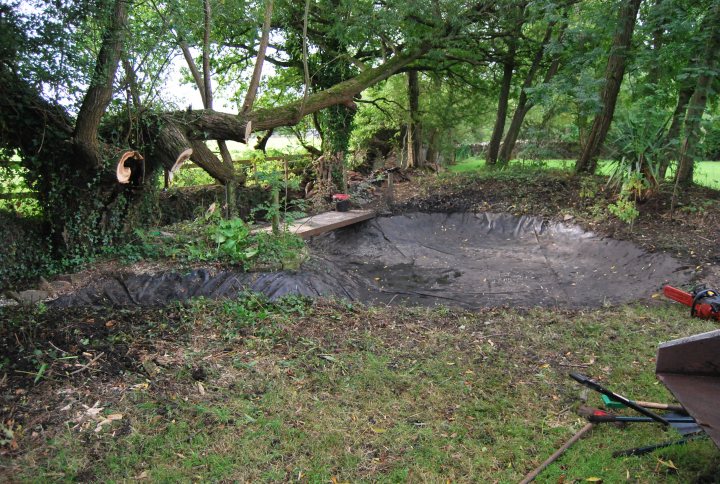 A fire hydrant in the middle of a forest - Pistonheads - The image shows an outdoor scene with a man-made pit or depression located in a grassy area with trees. The pit has a dark surface and could be a result of some recent activity. There is a large tree trunk with roots exposed on the left side of the pit. A pruning saw can be seen on the right side, suggesting that tree or branch trimming may have recently taken place. The overall appearance of the image indicates the space might be part of a landscaped area or yard maintenance.