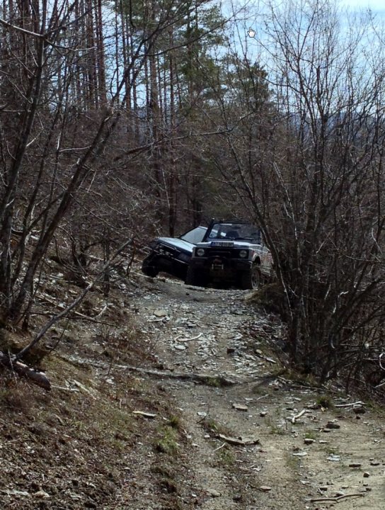 Bit of off-roading, and a bit of camping. - Page 1 - Off Road - PistonHeads - The image depicts a rocky road or path that appears to be washed out, giving way to a dense thicket on both sides. There are two trucks that have driven through the area at different times, with one partially visible off the road, and the other emerging onto the path from behind the thicket. There are no visible people or animals. The scene suggests a remote area of an outdoor location, possibly in a mountainous region or forest, where vehicles often struggle to navigate due to challenges of weather and road conditions. The style of the image is a straightforward photograph with no artistic filters, capturing the scene as it is in its natural state.