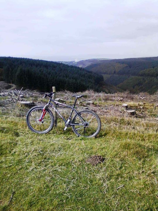 Reminders Retro Pistonheads Yesterday - The image shows an outdoor scene with a bicycle positioned on a grassy area. The bicycle is leaning on its kickstand, facing towards the right side of the frame. The surrounding environment appears to be a cleared field or meadow, with a few scattered trees in the background. In the far distance, there's a landscape with undulating hills covered with greenery, suggesting a rural or semi-rural setting. The weather seems overcast, with a subtle blue cast to the sky.