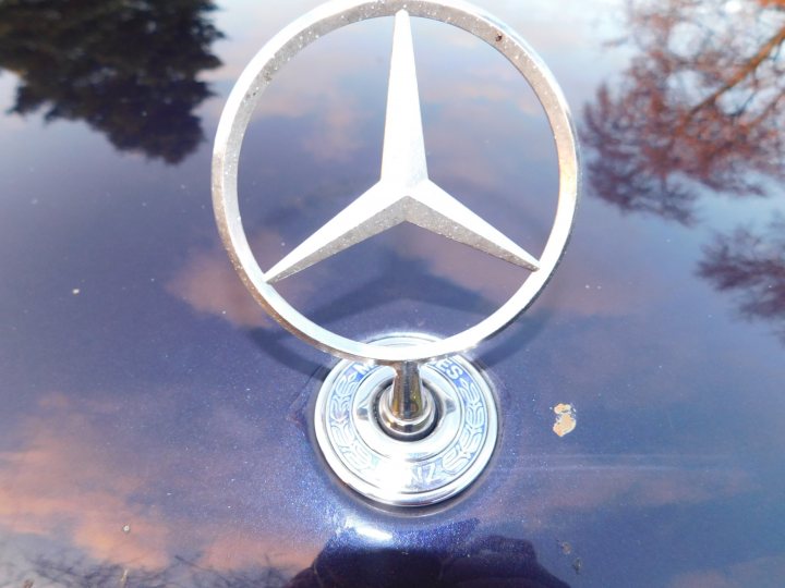 W210 / S210 Appreciation - Page 2 - Mercedes - PistonHeads