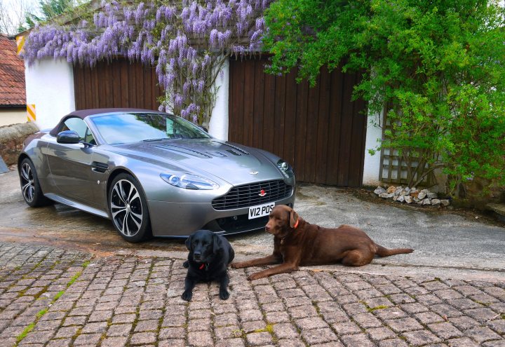 So what have you done with your Aston today? - Page 317 - Aston Martin - PistonHeads