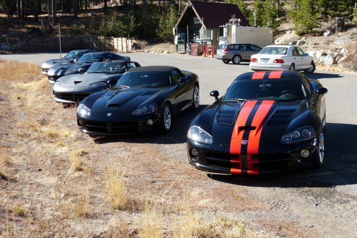 Pistonheads - The image showcases a row of six eye-catching sports cars parked on a gravel field. The vehicles are positioned parallel to each other, highlighting their sleek designs. Each car is colorfully wrapped in red and black stripes, adding a striking contrast against their black bodies and silver rims. In the distance, a small structure, possibly a pit stop, can be seen, and a few other cars are scattered around the field, suggesting an event or gathering. The scene suggests an atmosphere of speed and performance.