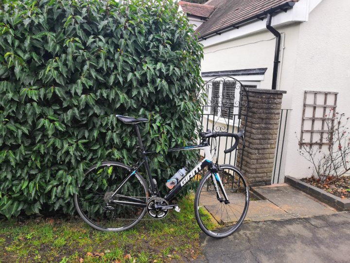 The "Photos From Today's Ride" thread... - Page 372 - Pedal Powered - PistonHeads - The image features a bicycle parked against a hedge. The bicycle is equipped with multiple gears and has a bottle cage attached to it. To the right of the bicycle, there's a white wall and a window. In the background, a house is partially visible. A tree with green leaves can be seen to the left of the bike. The bike is leaning on the hedge, suggesting that the owner is nearby but not in the frame.