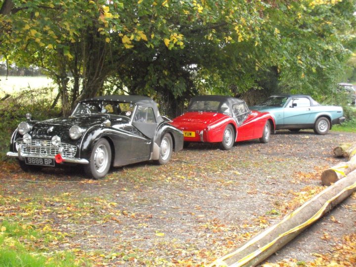 COOL CLASSIC CAR SPOTTERS POST!!! - Page 475 - Classic Cars and Yesterday's Heroes - PistonHeads - The image showcases a serene autumn setting with four vintage cars parked along a gravel road near tall, leafy trees. On the left, a black convertible with a fresh flower in its grille adds a touch of color. Moving to the right, a solid white vintage car, a vibrant red sports car, and a blue muscle car complete the lineup. The vehicles are positioned in order of color intensity, with the red car prominently in the middle, drawing the eye towards the center of the arrangement. A solitary log on the right-hand side of the photo provides a rustic touch to the scene.