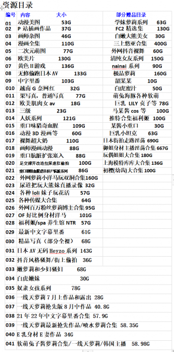 The image is a screenshot of a text file listing various files in a directory, likely a computer file or document. The list appears to be organized into two columns, with the first column listing file names, codes, or other identifiers, and the second column listing the sizes of those files in megabytes (MB).

The directory includes a wide range of titles, which suggest they could be documents, programs, or media files. Notable titles included are files named "????," "?????," "???," and "??????," among others. Each title is followed by a number indicating a possible revision or version.