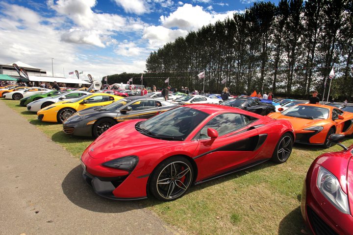 WANTED 80 McLarens. Worlds largest gathering at Silverstone  - Page 4 - McLaren - PistonHeads