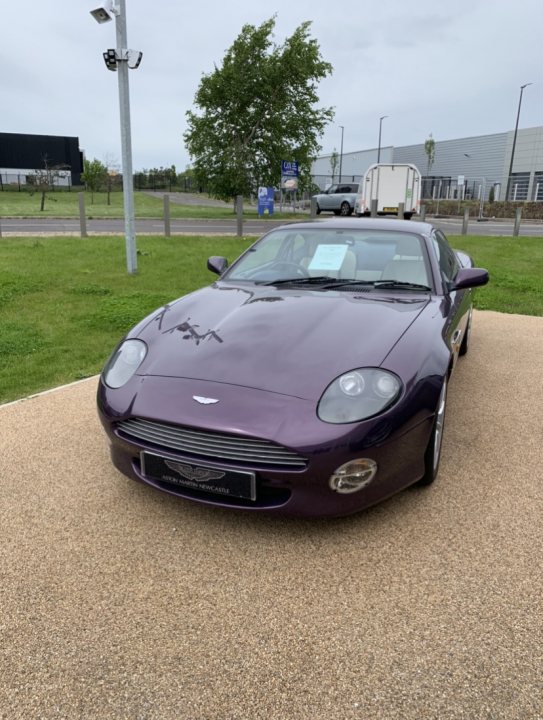 Purple db7 - Page 1 - Aston Martin - PistonHeads - The image shows a purple Aston Martin sports car parked on an asphalt surface. The car is sleek and appears to be in good condition, suggesting it might be well-maintained or recently purchased. It's positioned facing the camera, allowing a clear view of its front grille and hood. There are no visible texts or distinctive marks that would indicate a specific location or event. The background reveals a setting that includes a paved area with grass and some other vehicles, possibly indicating a public parking lot or a private driveway.