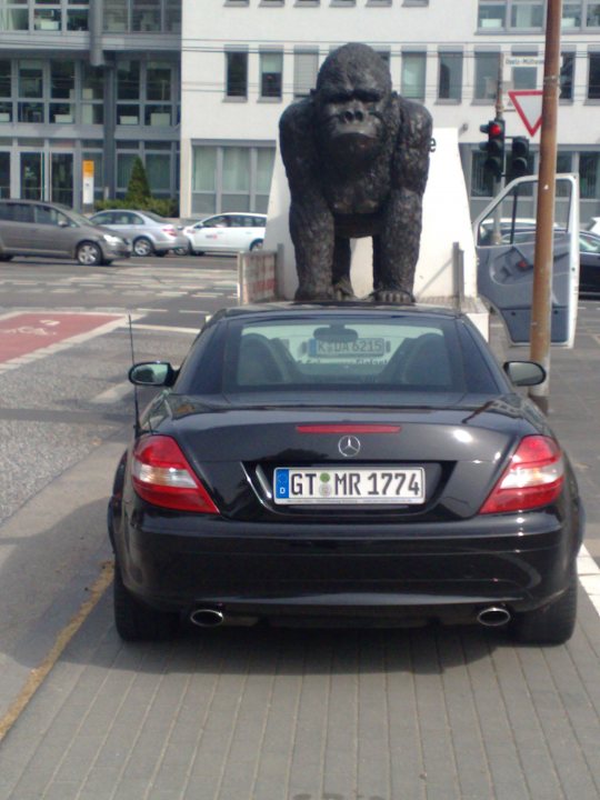 Gorilla Pistonheads Roof